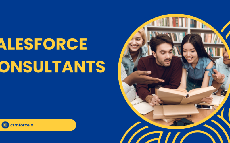 Salesforce consultants